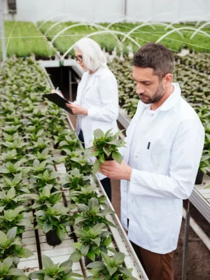 importacion y exportacion de animales ganaderia